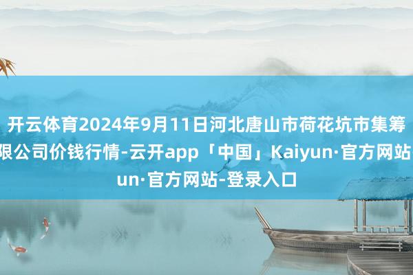 开云体育2024年9月11日河北唐山市荷花坑市集筹画科罚有限公司价钱行情-云开app「中国」Kaiyun·官方网站-登录入口