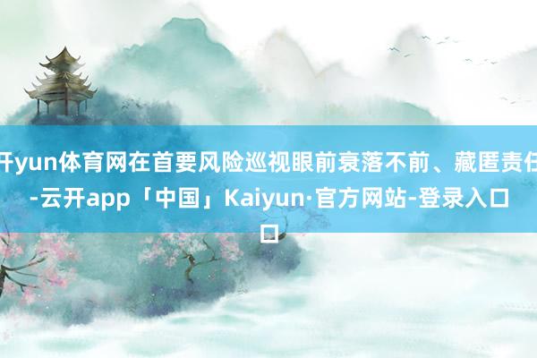 开yun体育网在首要风险巡视眼前衰落不前、藏匿责任-云开app「中国」Kaiyun·官方网站-登录入口