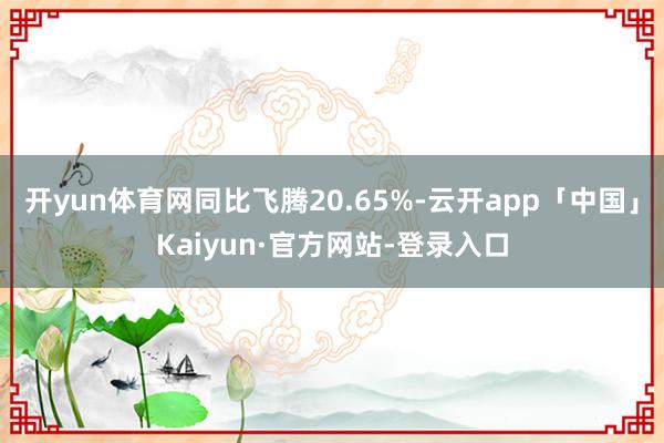 开yun体育网同比飞腾20.65%-云开app「中国」Kaiyun·官方网站-登录入口