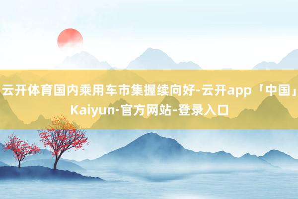 云开体育国内乘用车市集握续向好-云开app「中国」Kaiyun·官方网站-登录入口