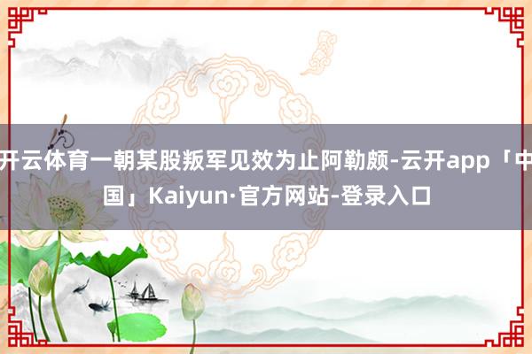 开云体育一朝某股叛军见效为止阿勒颇-云开app「中国」Kaiyun·官方网站-登录入口